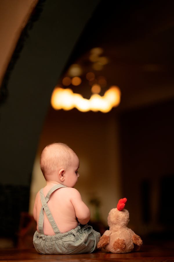 Plongez dans l'univers des peluches Minecraft adorables !