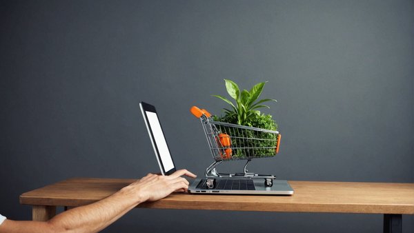 Boostez votre entreprise avec une agence seo e-commerce