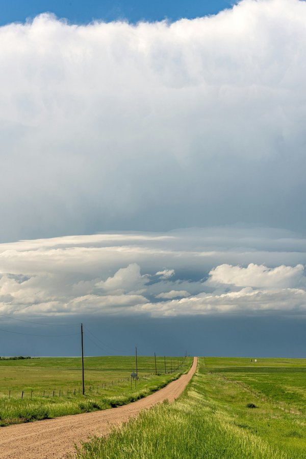 Formations it en ligne : devenez expert avec alphorm